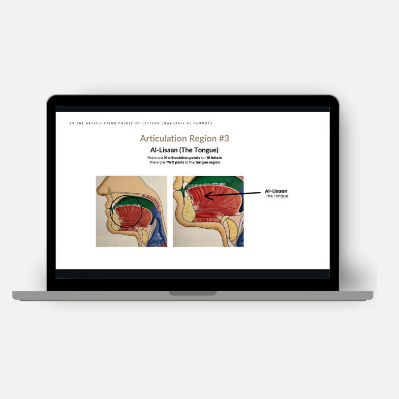 Lesson on Arabic Letter Articulation Points
