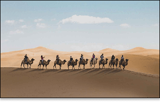 online seerah course​