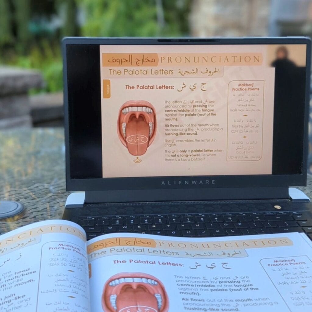 tajweed rules online course for beginners